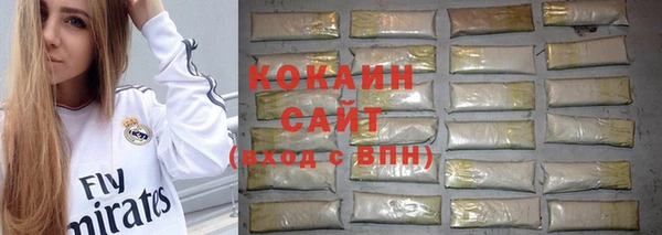 дживик Бронницы