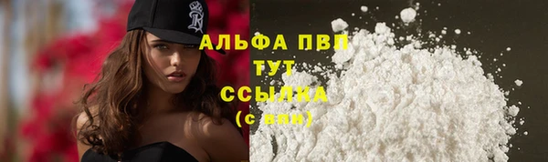 дживик Бронницы