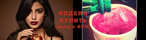 дживик Бронницы