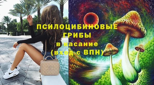 спиды Богородицк
