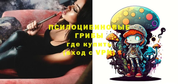 jwh Бородино