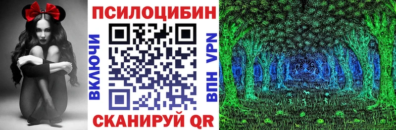 Псилоцибиновые грибы MAGIC MUSHROOMS Горно-Алтайск