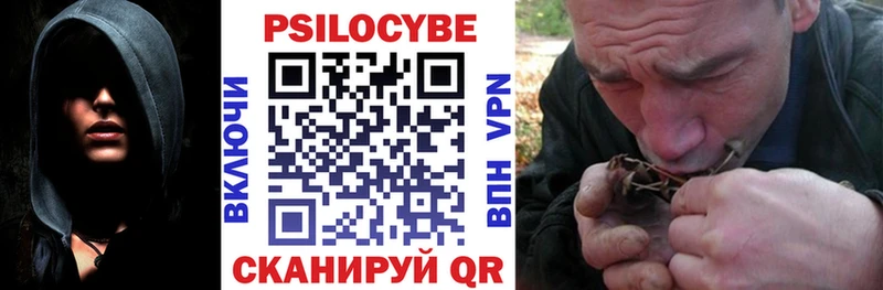 наркота  Горно-Алтайск  OMG как войти  Псилоцибиновые грибы Magic Shrooms 